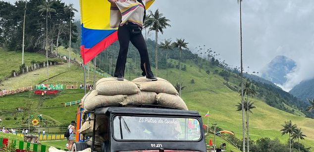 Model - dreabusty hairy