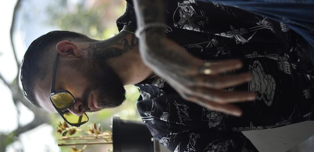 Model - cyber wolf Roleplay