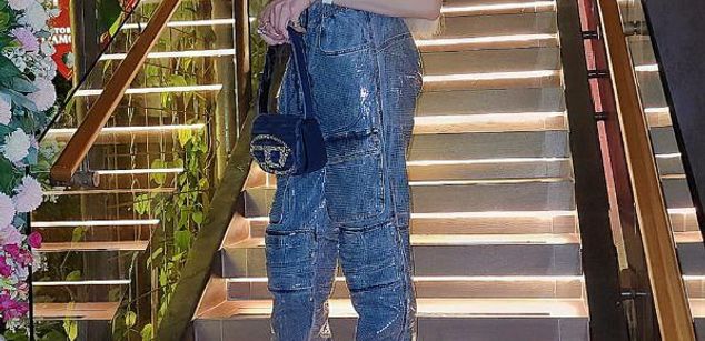 Model - Juliet Pink Trans