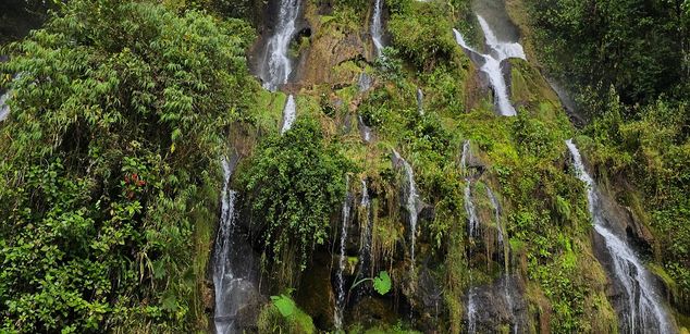 Model - BriansCruz RolPlay