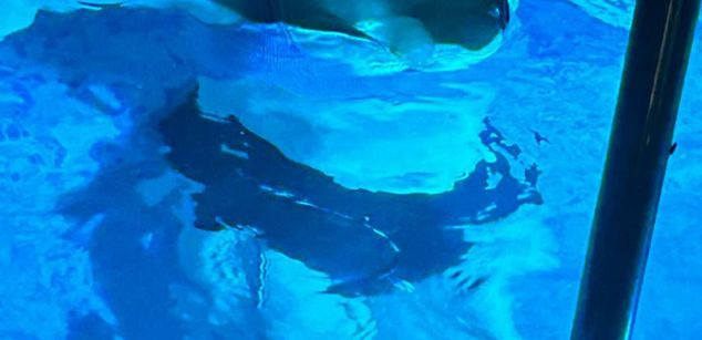 Model - NinaCherry bdsm