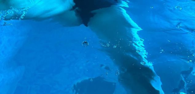 Model - NinaCherry bdsm