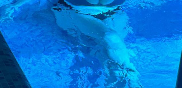 Model - NinaCherry bdsm