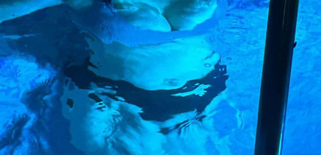 Model - NinaCherry bdsm