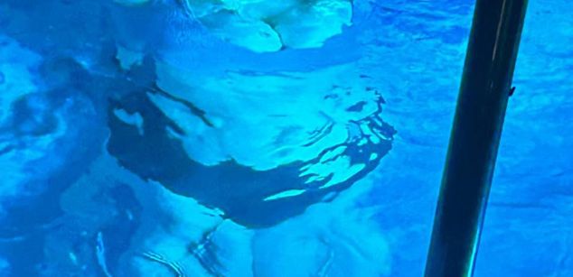 Model - NinaCherry bdsm