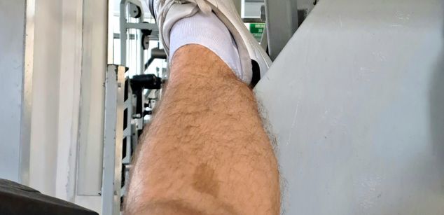 Model - Joss M. latino