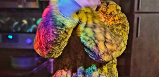 Model - Veronica redhead