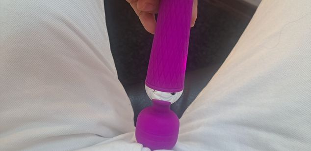 Model - ZinniaAza cei