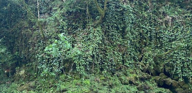 Model - NaomiLisss slim