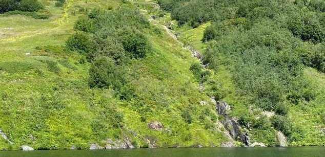 Model - NaomiLisss slim