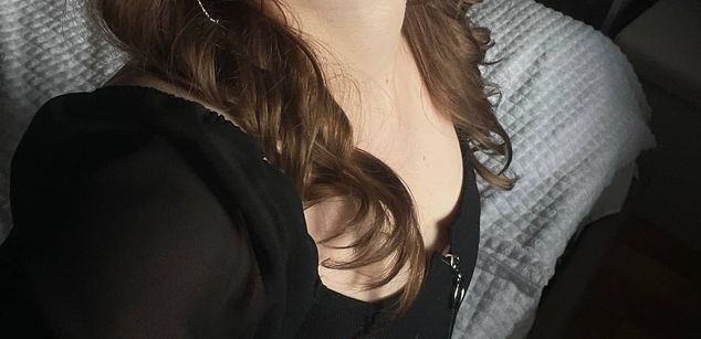 Model - Lasly_Fox cei