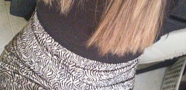 Model - Sarah_hard submission