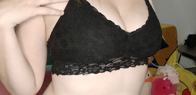 Model - Foxes_That_Are_Wandering pretty