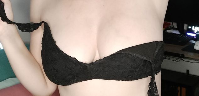 Model - Foxes_That_Are_Wandering pretty