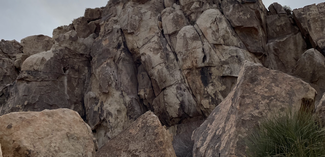 Model - Desert Moon petite