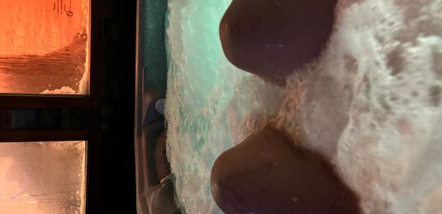 Model - Crystal Vee wild