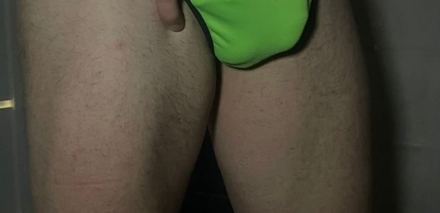 Model - SpaceJet dick