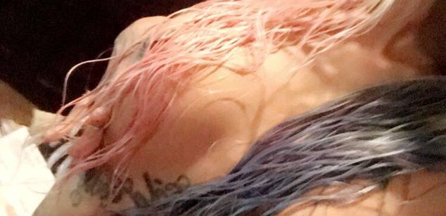 Model - Hailee model