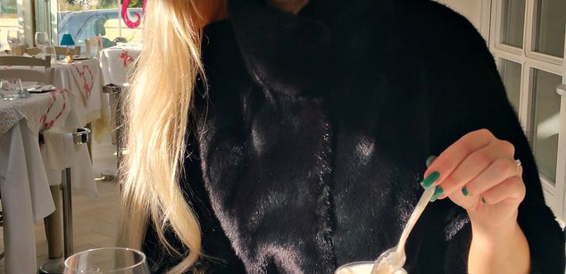 Model - VITAASS anal