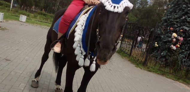 Model - Destinykiss fastresponse