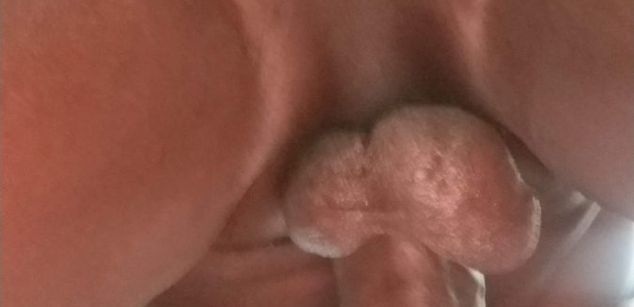 Model - Maxximus beard