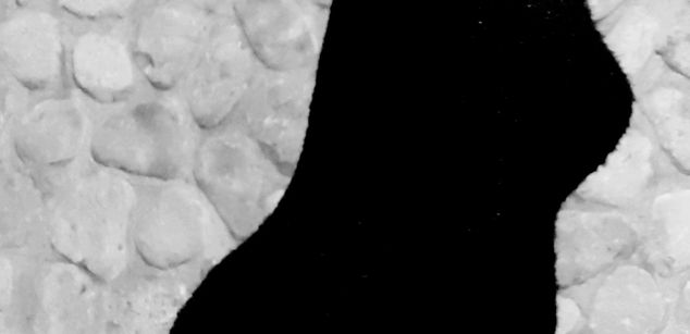 Model - Sara roche new