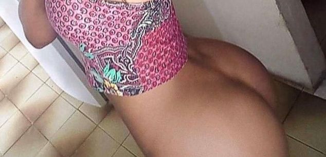 Model - josenid toys