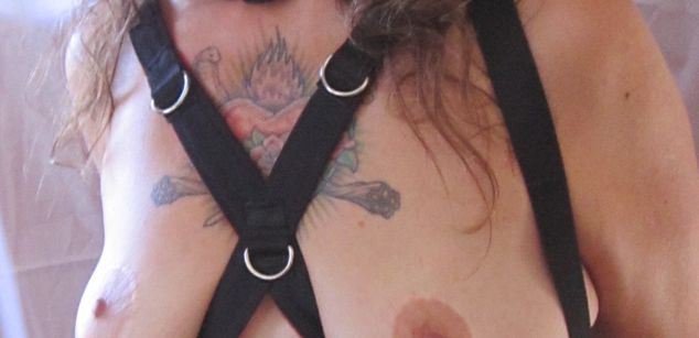 Model - GaiaSophia anal