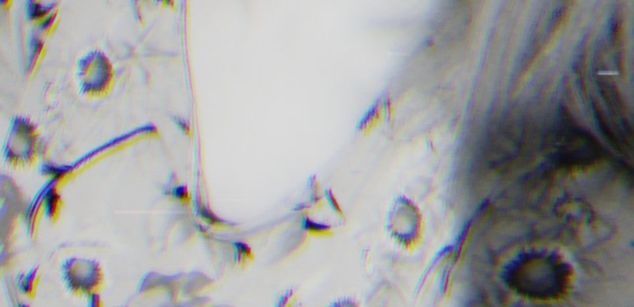 Model - waifumochi_chan COSPLAY squirt