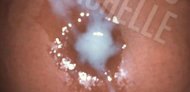 Model - Machelle Monroe aka Empress Machelle Housewife