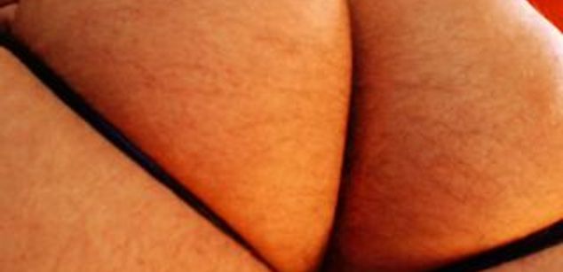 Model - Metalstud bear