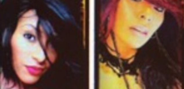 Model - EcLIPsService wet