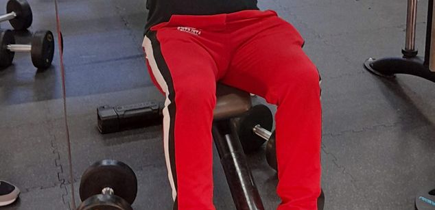 Model - Simon and David Boy