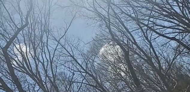 Model - Thee Natural Fantasie humiliation