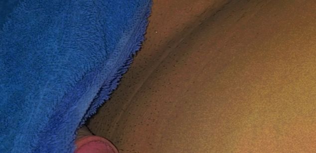 Model - Dominicano04 miami