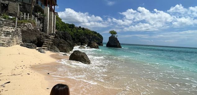 Model - Asian Anal Queen dildo