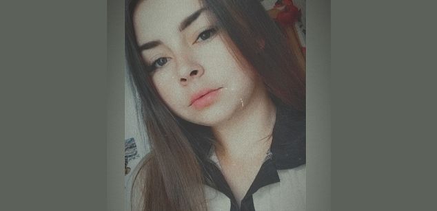 Model - WebModel chat