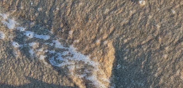 Model - EmeraldEye young