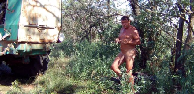 Model - DanKing play