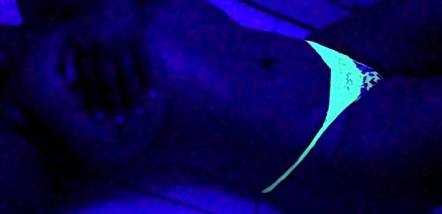 Model - FaceSitter bigass