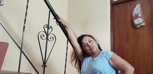 Model - RogueSmall openmind