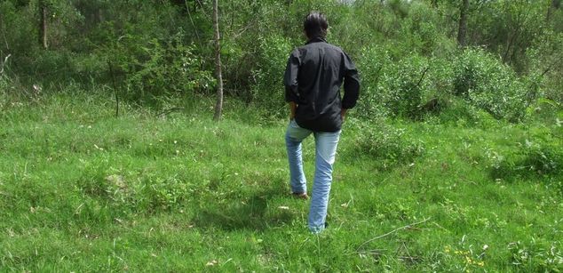 Model - Albert doggy