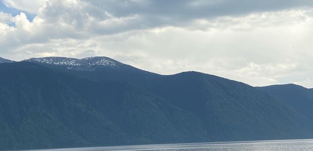 Model - Eva stockings