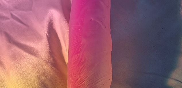 Model - Topsy Wilde findom