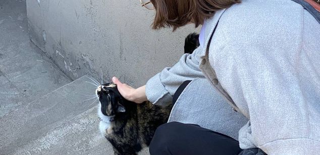 Model - Ask Audrey joi