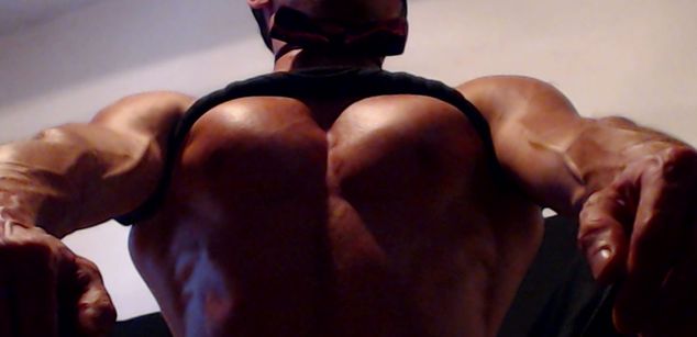 Model - muscledependent Muscles