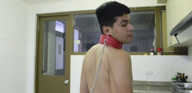 Model - Franchesco Parker toy