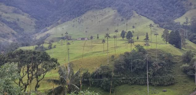 Model - Iris Moira feet